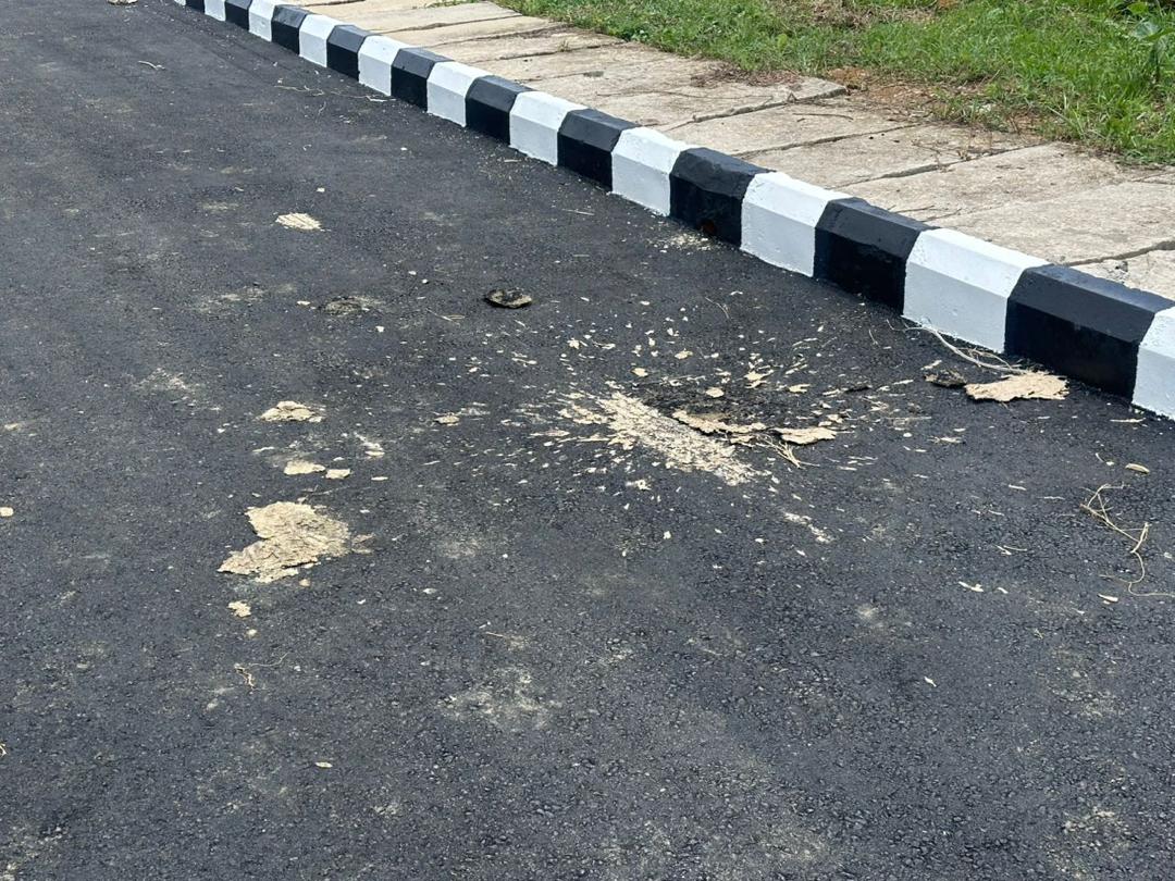 Close-up of the black-and-white painted kerb edge beside the new asphalt surface