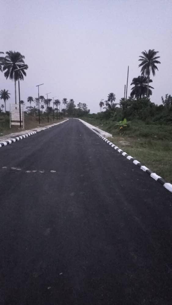 Finished road at dusk with a project signboard on the left shoulder and palm trees either side